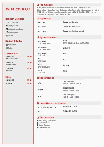 cv indir